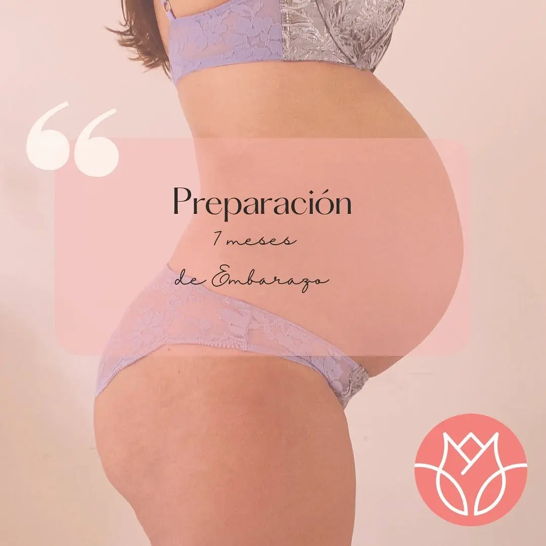 Banner preparacion 7 meses